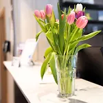 Aulmann Hotel 3*